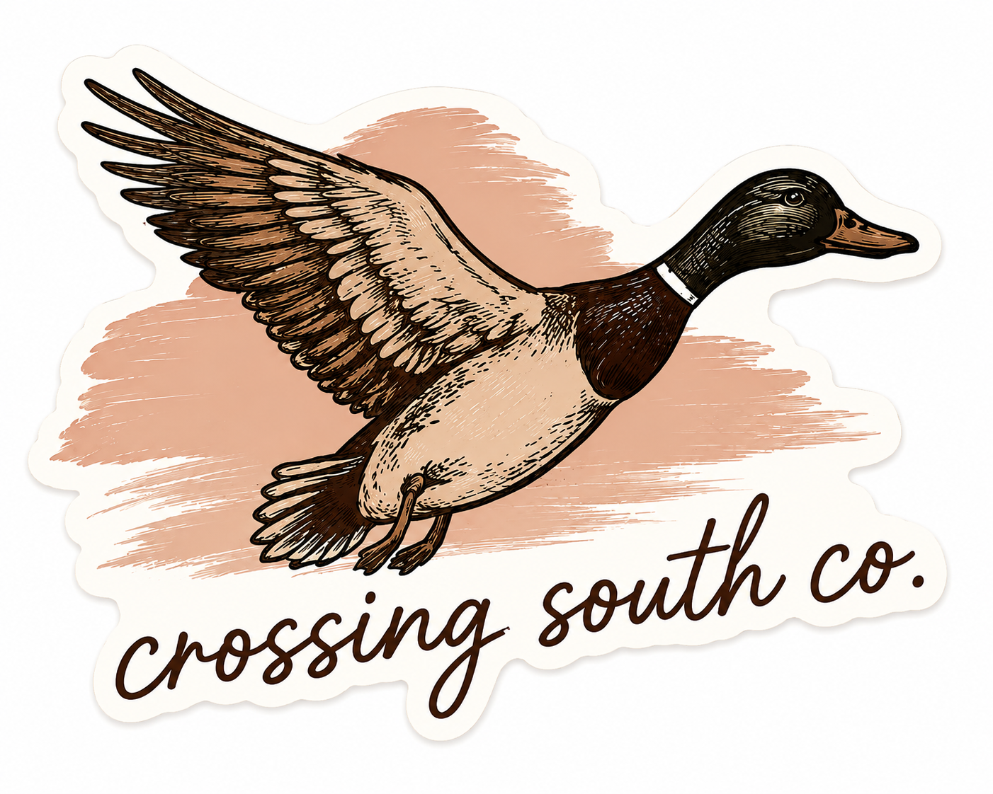 Mallard In Flight Sticker